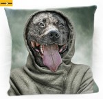 Poduszka amstaff 2