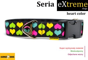 Obroża dla psa: heart color