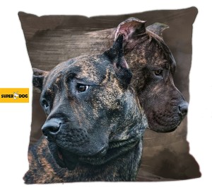 Poduszka Presa canario